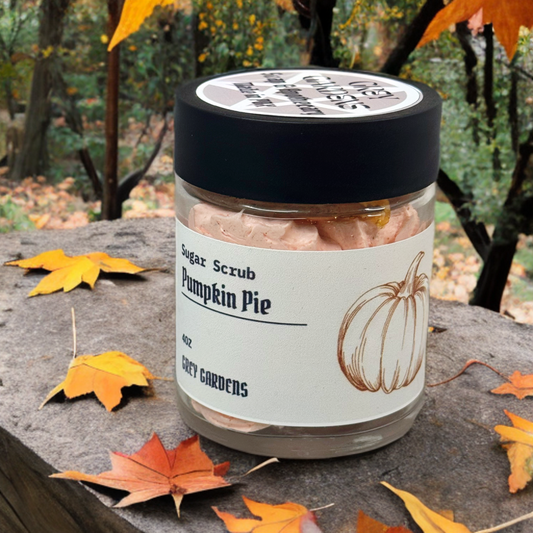 Pumpkin Pie Whipped Sugar Scrub